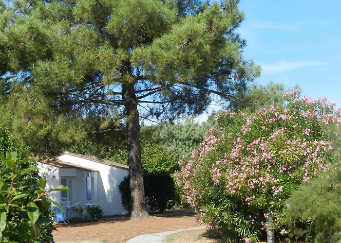 Village de vacances Résidence Néméa La Cascade Dolus-d'Oléron